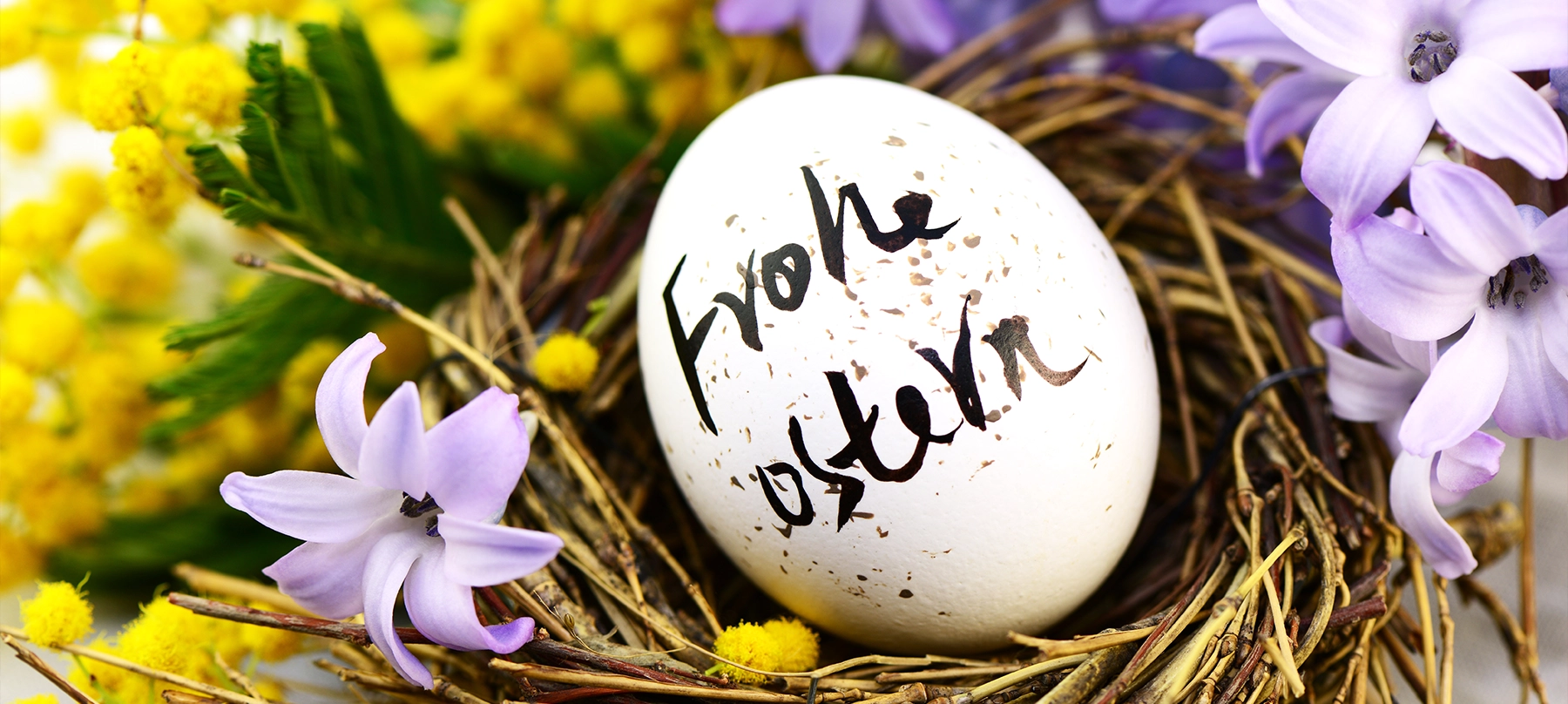 Ei im Osternest mit der Aufschrift Frohe Ostern